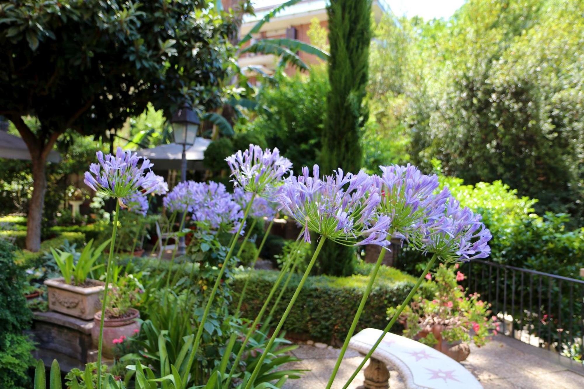 Villa Matissa Roma Exterior foto